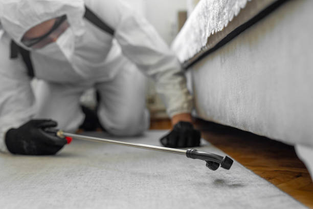 Professional Termite Control technician working in Tornillo, TX