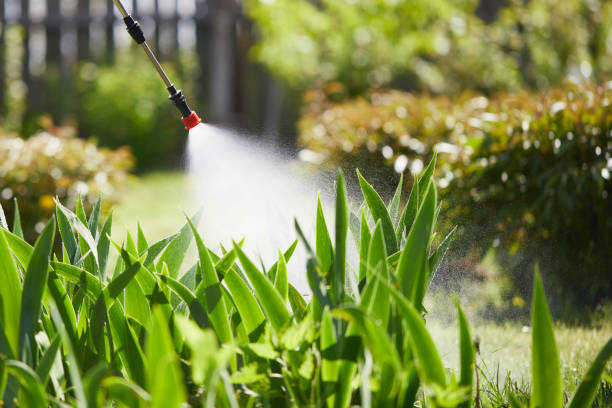 24/7 Emergency Termite Control experts in Tornillo, TX